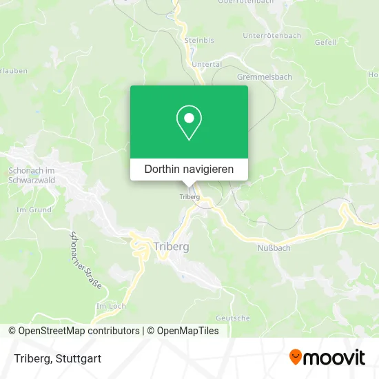 Triberg Karte