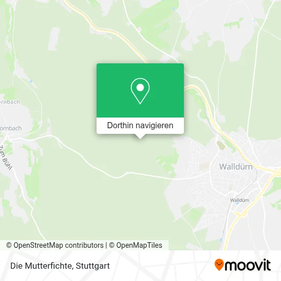 Die Mutterfichte Karte