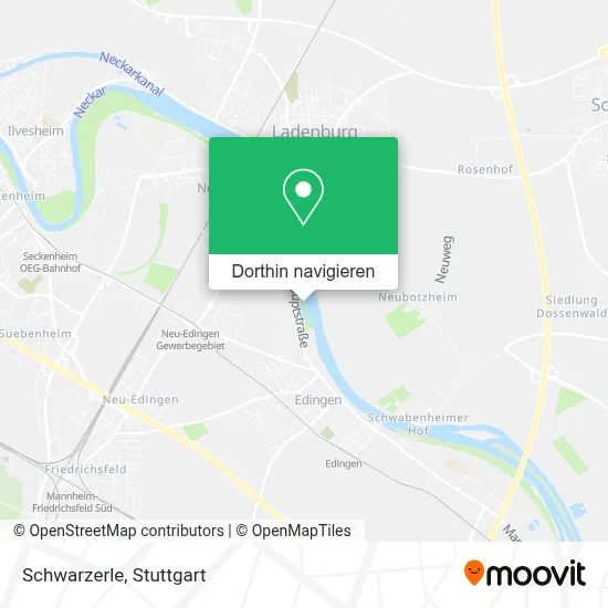 Schwarzerle Karte