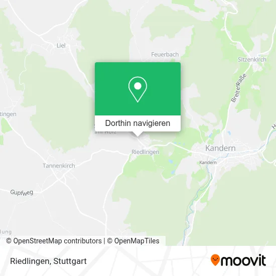 Riedlingen Karte