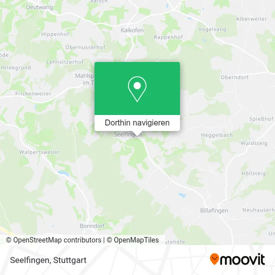 Seelfingen Karte
