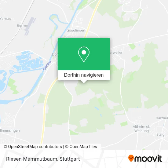 Riesen-Mammutbaum Karte