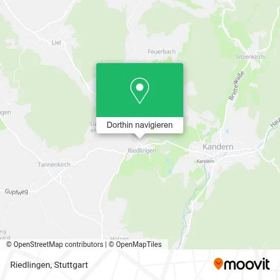 Riedlingen Karte