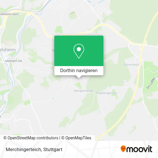 Merchingerteich Karte