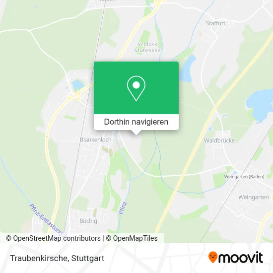 Traubenkirsche Karte