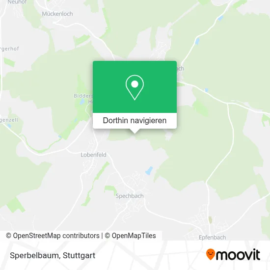 Sperbelbaum Karte