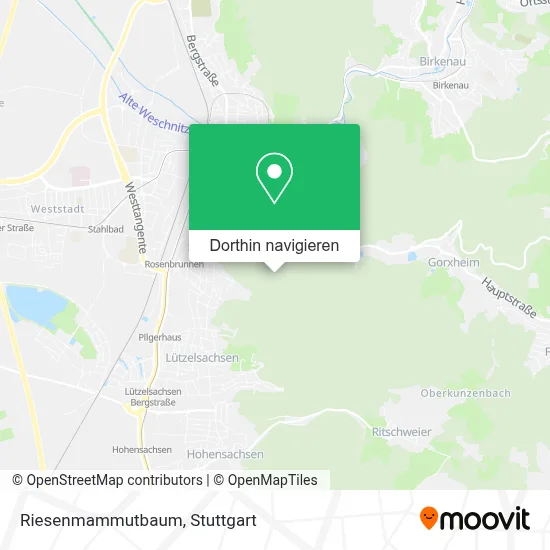 Riesenmammutbaum Karte