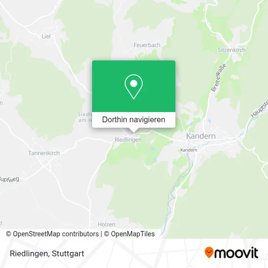 Riedlingen Karte