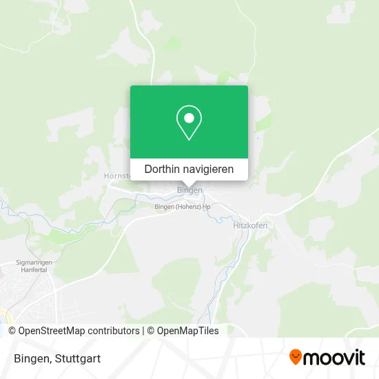 Bingen Karte