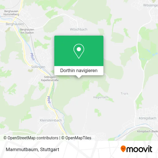 Mammutbaum Karte