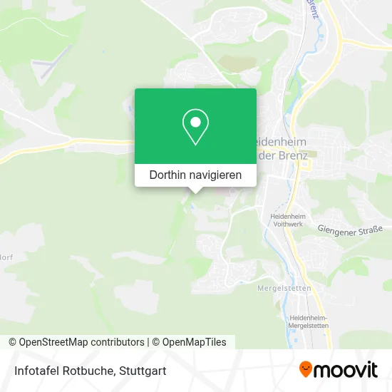 Infotafel Rotbuche Karte