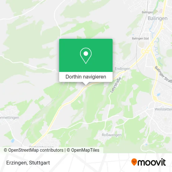 Erzingen Karte