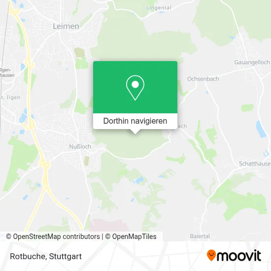 Rotbuche Karte