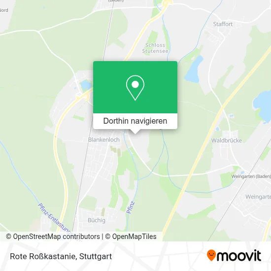 Rote Roßkastanie Karte