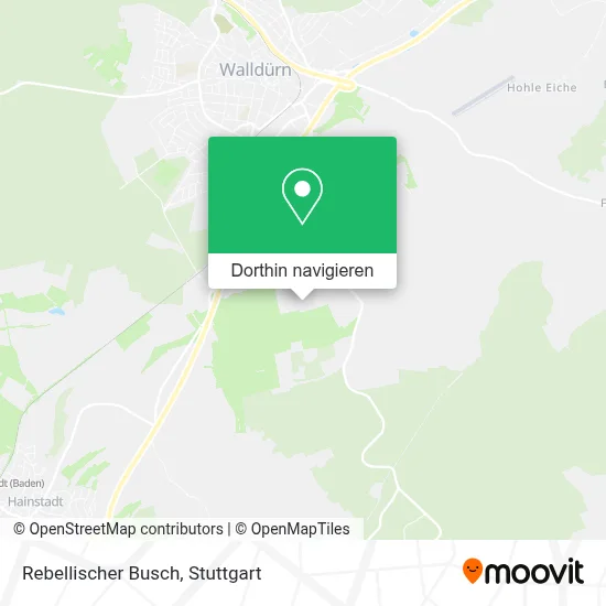 Rebellischer Busch Karte