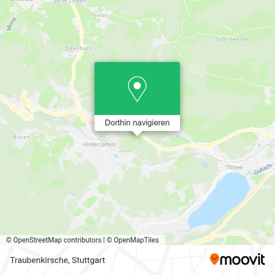 Traubenkirsche Karte