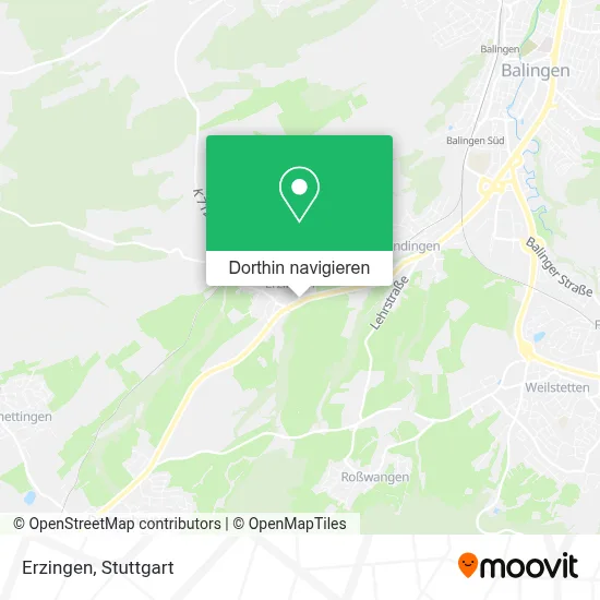 Erzingen Karte