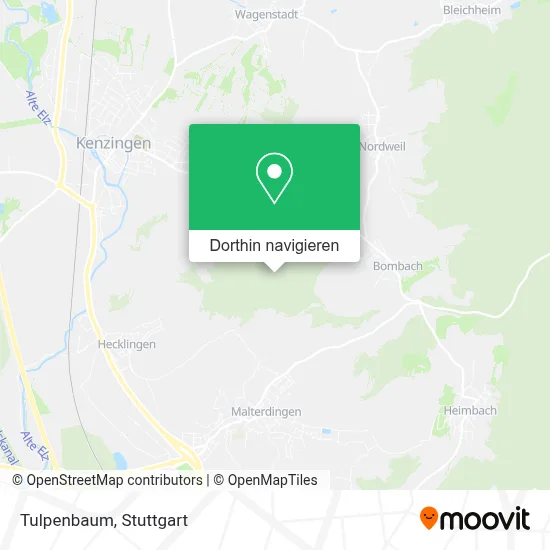 Tulpenbaum Karte