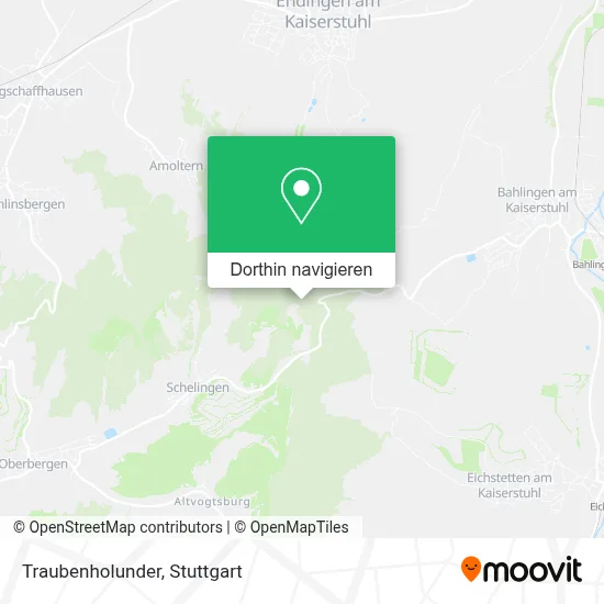 Traubenholunder Karte