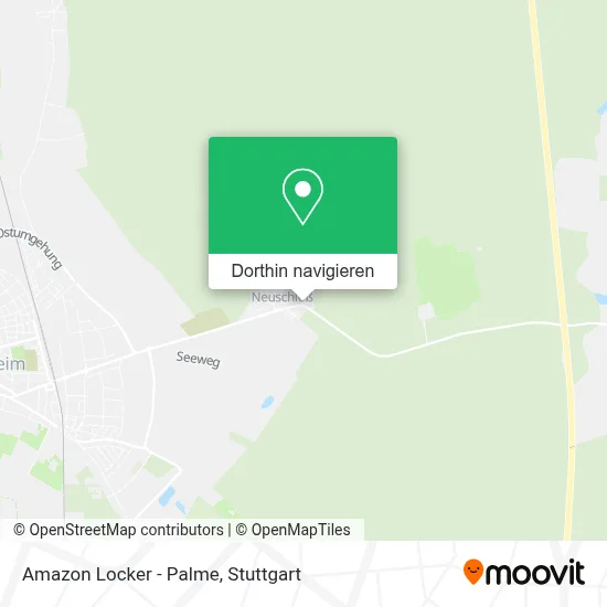 Amazon Locker - Palme Karte