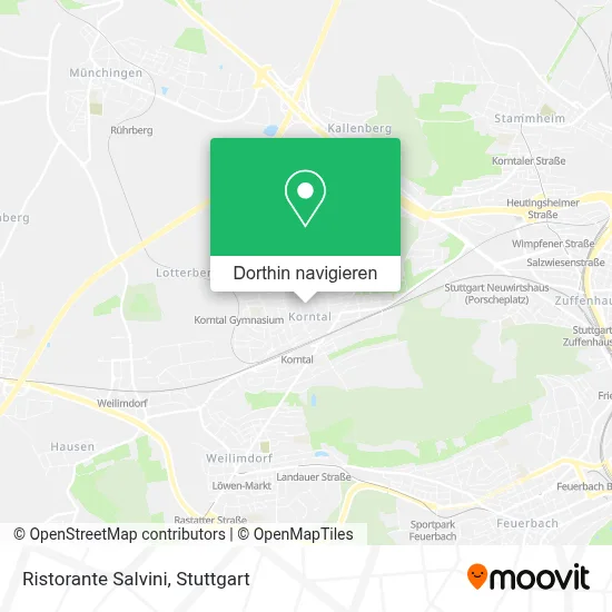 Ristorante Salvini Karte