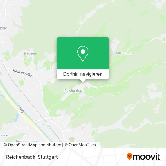 Reichenbach Karte