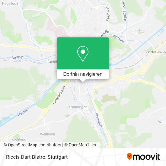 Riccis Dart Bistro Karte