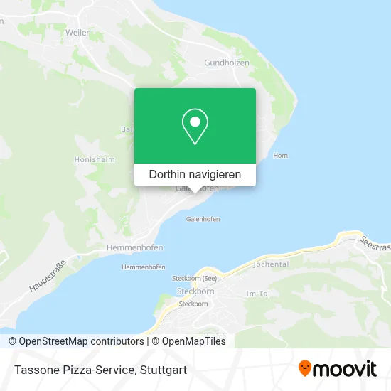 Tassone Pizza-Service Karte