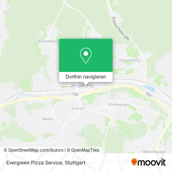 Evergreen Pizza Service Karte
