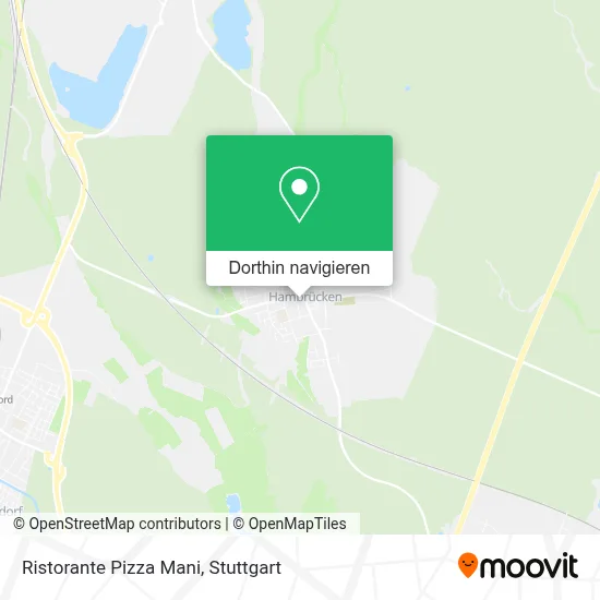 Ristorante Pizza Mani Karte