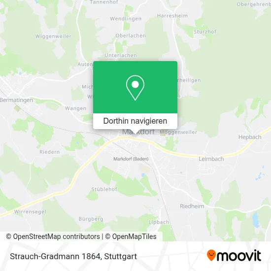 Strauch-Gradmann 1864 Karte