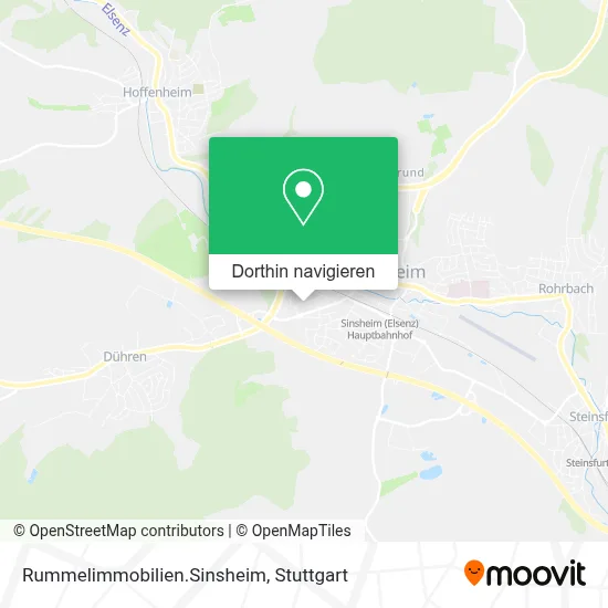 Rummelimmobilien.Sinsheim Karte