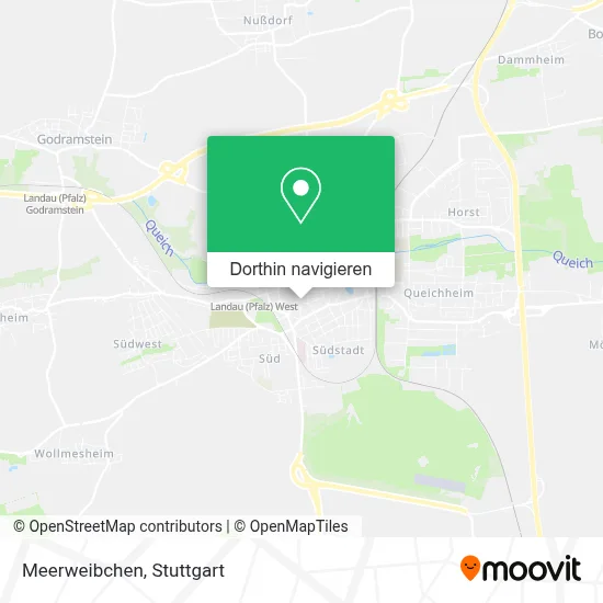 Meerweibchen Karte