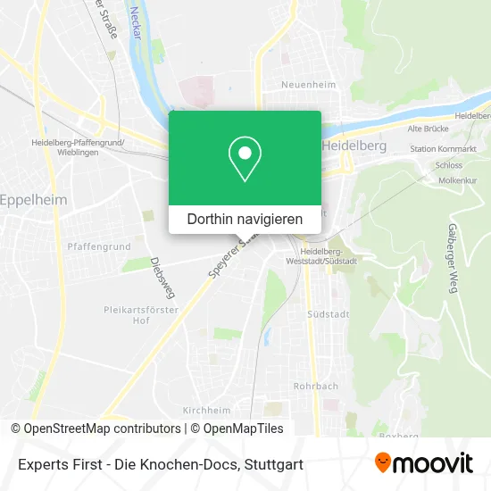 Experts First - Die Knochen-Docs Karte