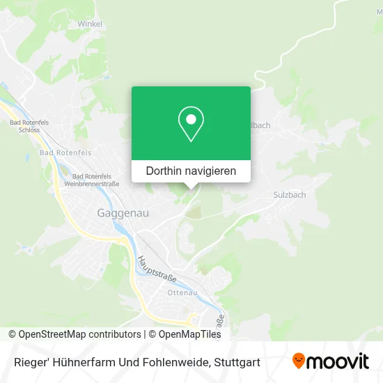 Rieger' Hühnerfarm Und Fohlenweide Karte