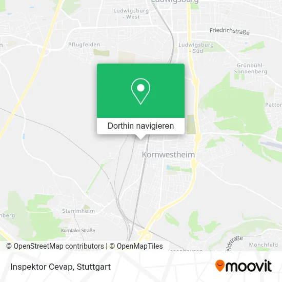 Inspektor Cevap Karte