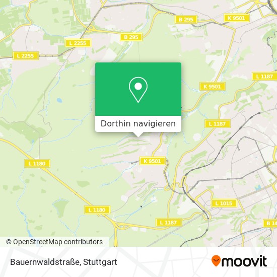 Bauernwaldstraße Karte