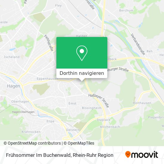 Frühsommer Im Buchenwald Karte