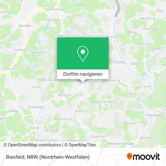 Biesfeld Karte