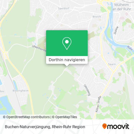 Buchen-Naturverjüngung Karte
