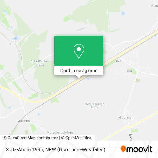 Spitz-Ahorn 1995 Karte