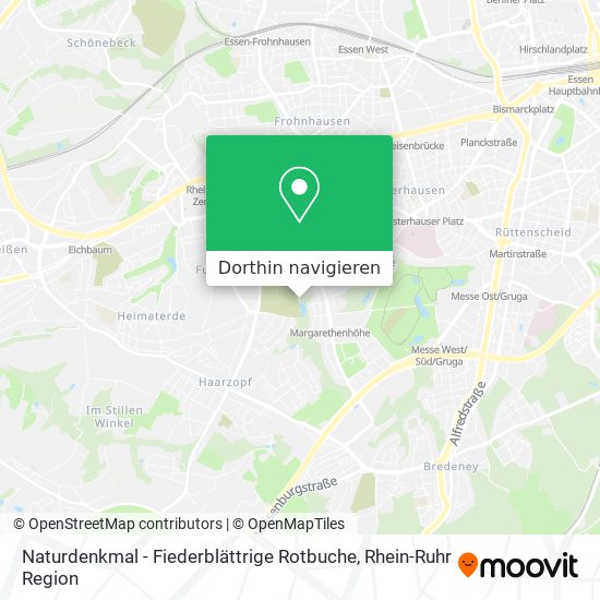 Naturdenkmal - Fiederblättrige Rotbuche Karte