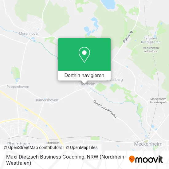 Maxi Dietzsch Business Coaching Karte