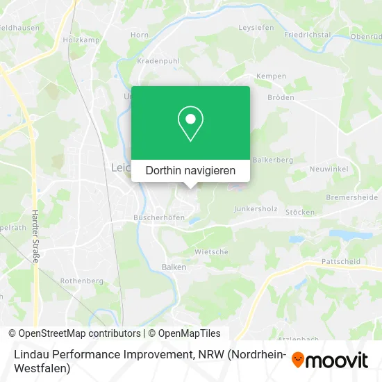 Lindau Performance Improvement Karte