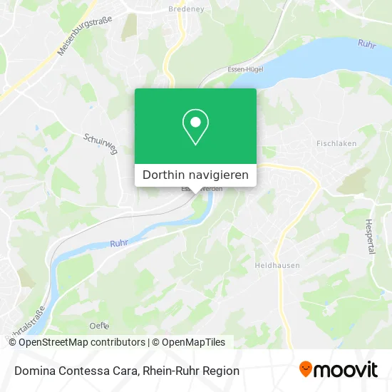 Domina Contessa Cara Karte