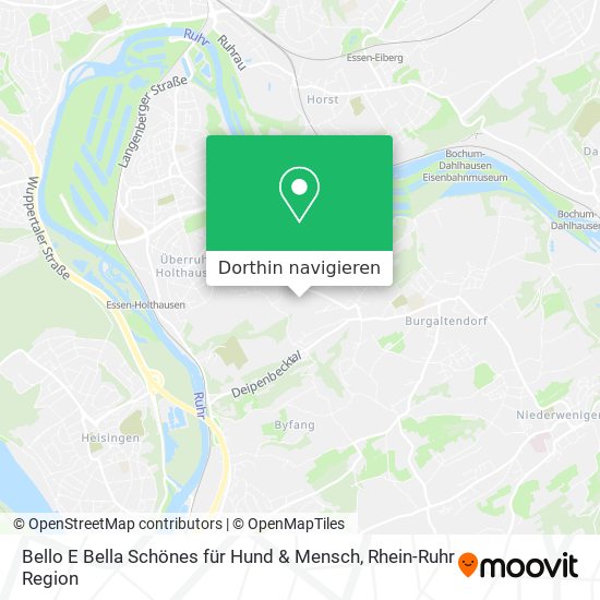 Bello E Bella Schönes für Hund & Mensch Karte