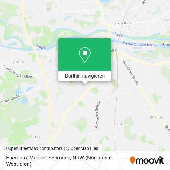 Energetix Magnet-Schmuck Karte