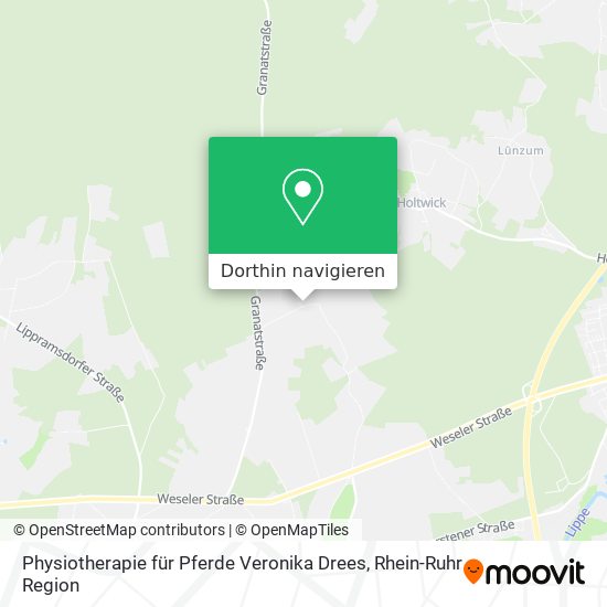 Physiotherapie für Pferde Veronika Drees Karte