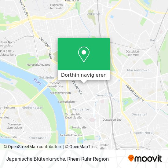 Japanische Blütenkirsche Karte