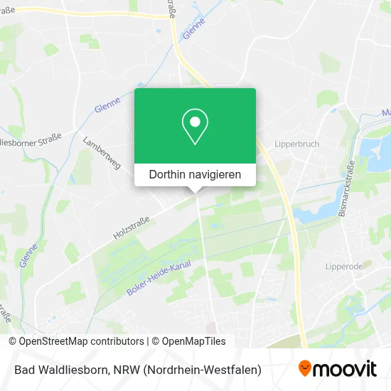 Bad Waldliesborn Karte